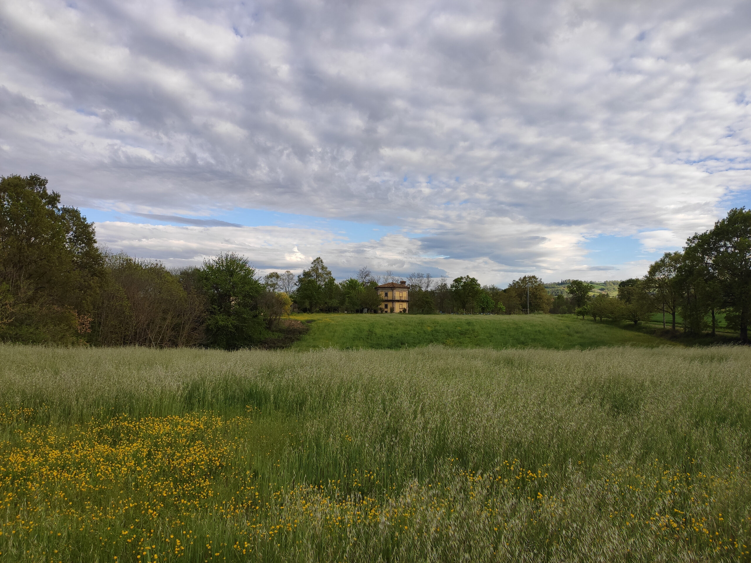 A farm at the heart of a valley next to the woods