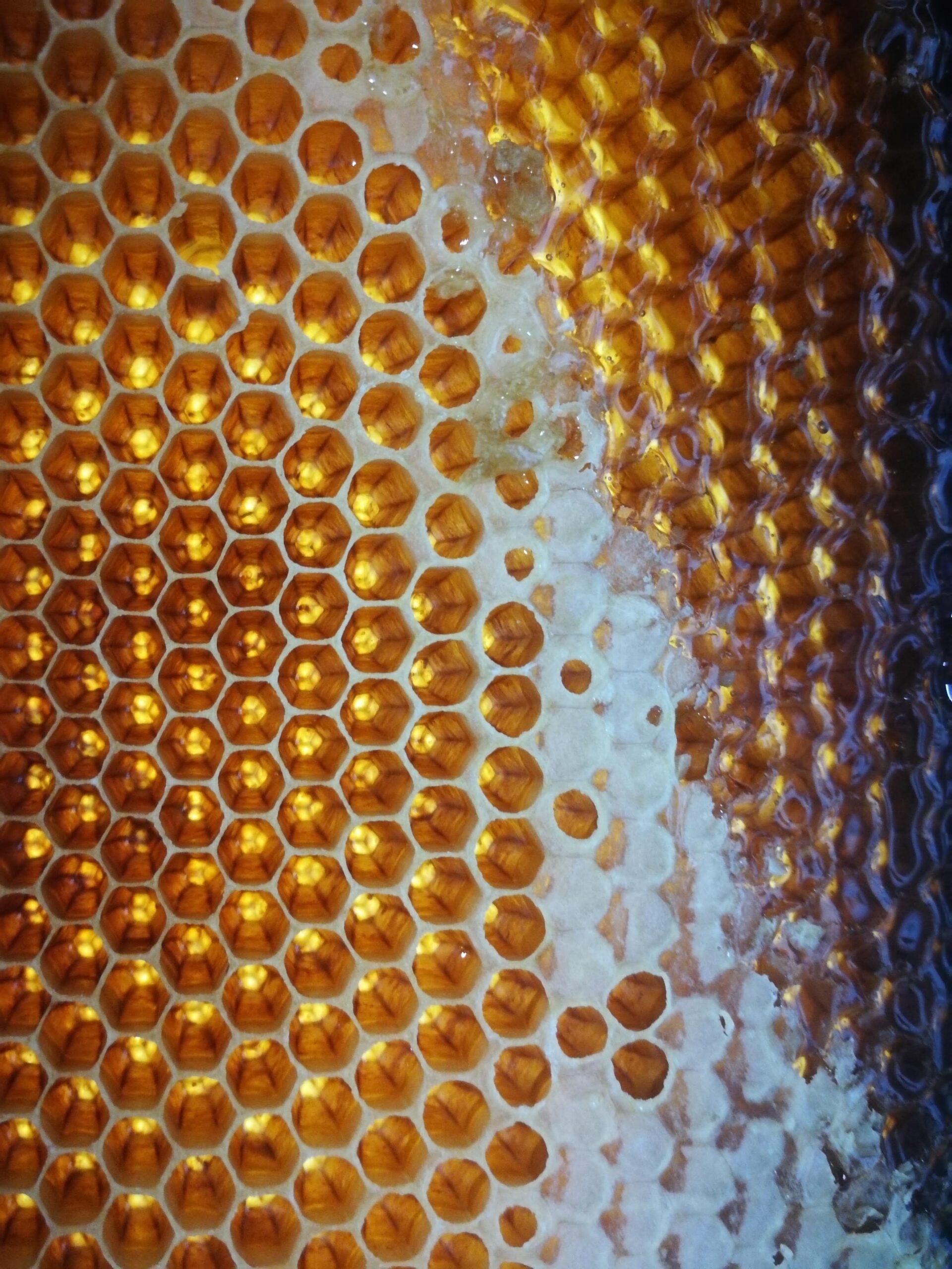 natural honeycomb